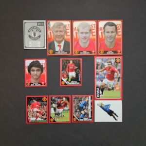 Panini: MANCHESTER UNITED 2008-2009 (England)