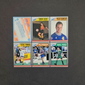Pacific: MISL 1989-1990 (USA)