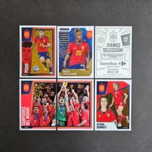 Panini/Carrefour: VAMOS SELECCIÓN! 2024 (Spain)