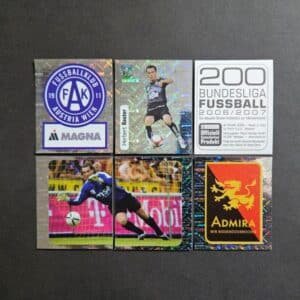 Panini: BUNDESLIGA FUSSBALL 2006-2007 (Austria)
